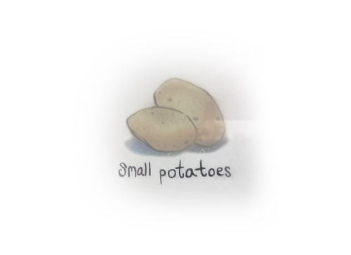 A drawing of small potatoes by Avi Zuber